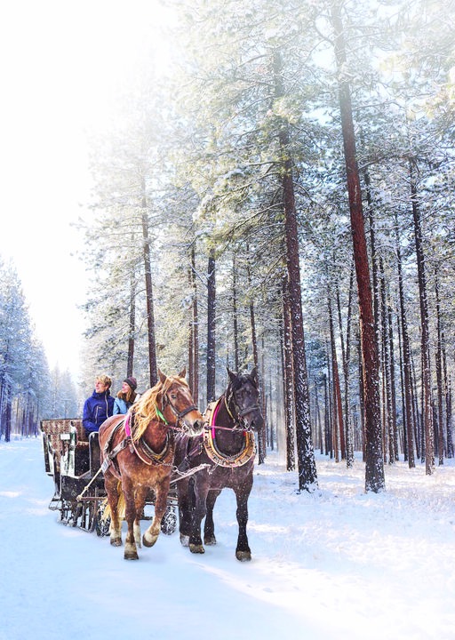 Alberton Cabin | ALL INCLUSIVE THANKSGIVING HOLIDAY - RiverView Ranch Yellowstone Suite