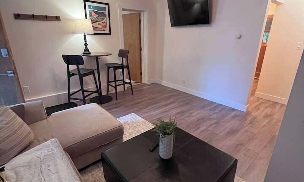 Great Falls Apartment | Minimalist Urban Unit: Sleek 1-Bedroom Sanctuary