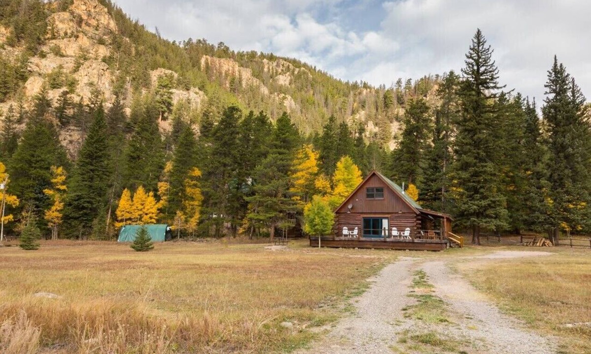 Almont Cabin | Modern Cabin in Spring Creek | 4 Bedroom | Bunk Room | Gas Grill | Parking