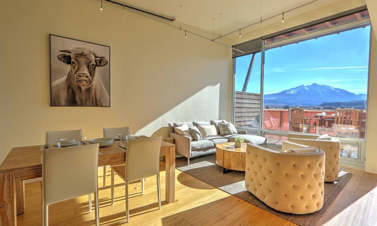 Dolores Lofts Condo | Modern Industrial Condo w/Spectacular Sopris Views