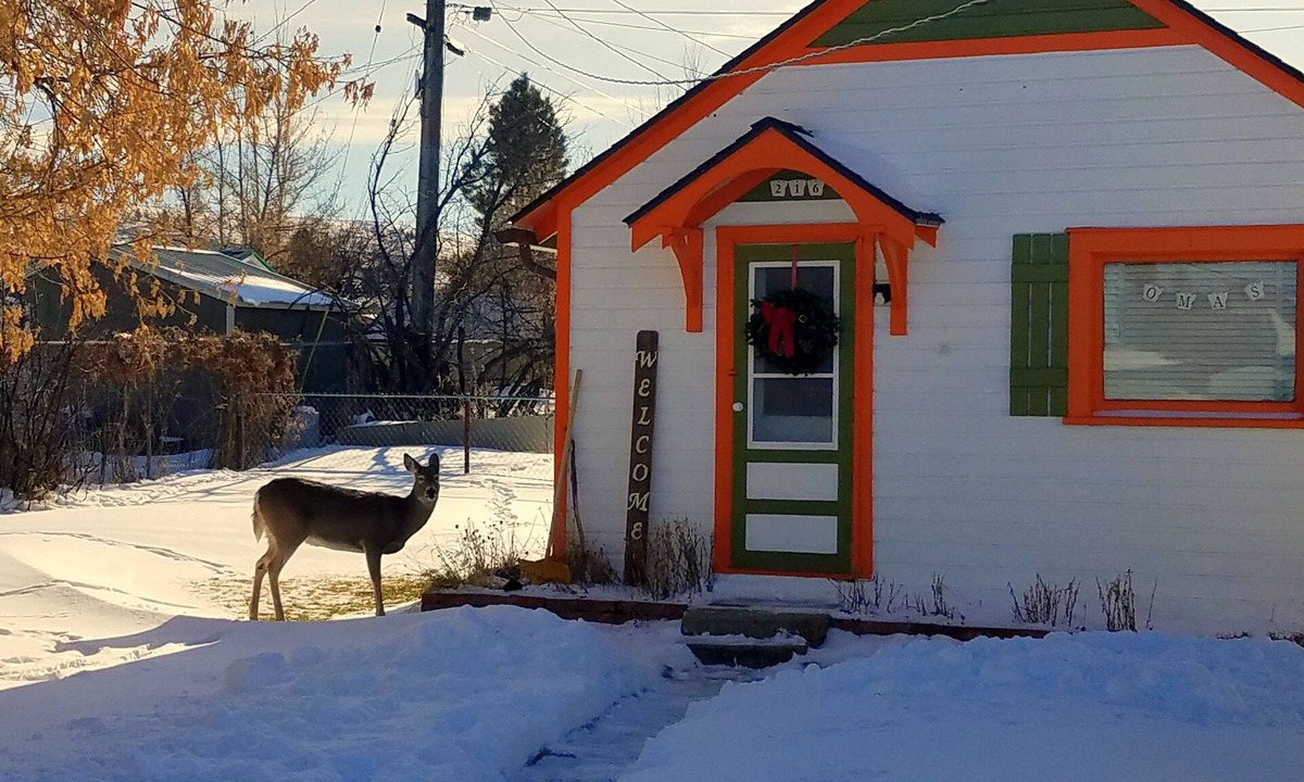 Red Lodge Cottage | Oma's 1890 Cottage with Hot Tub & Sauna in Red Lodge Montana