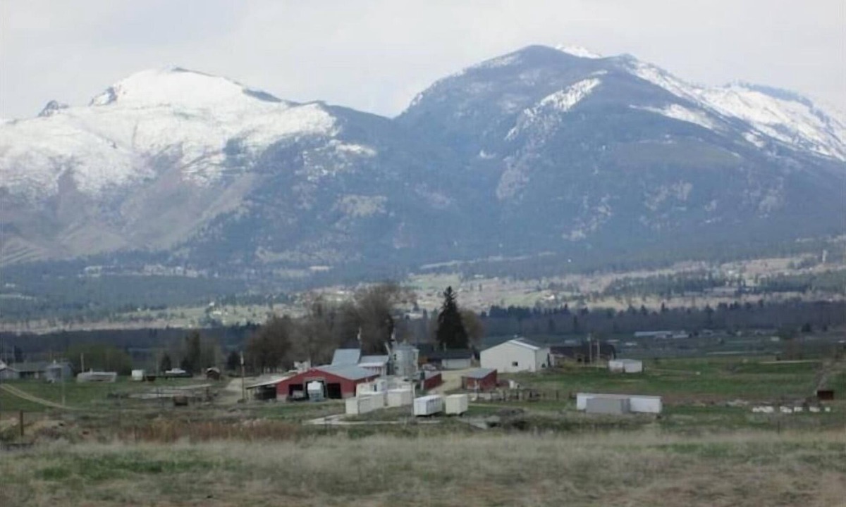Corvallis House | Panoramic Views & Dog Heaven on the farm