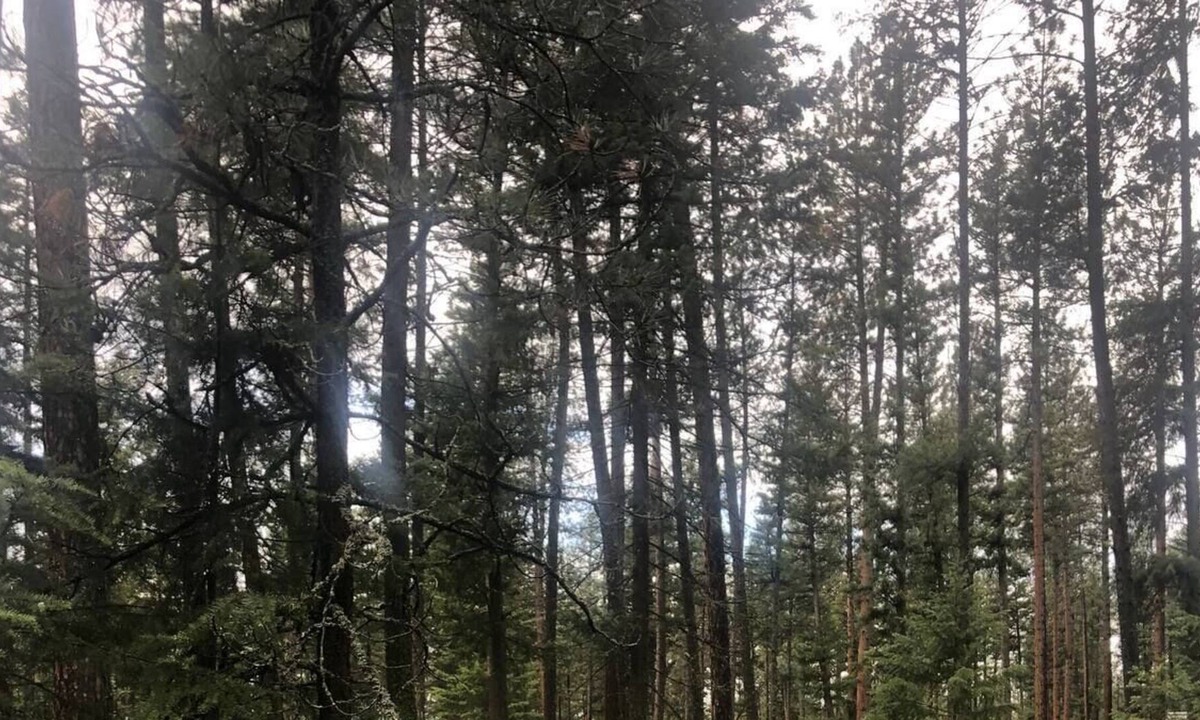 Huson House | Unique Montana Adventure