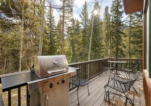 8767 Trappers Crossing condo