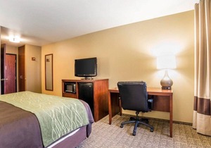 Comfort Inn University