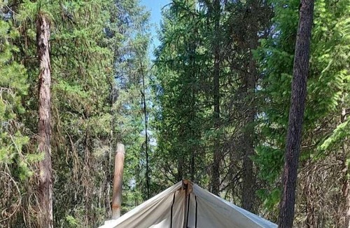 Olney RV Rental | Glamping Wall Tent 1/ 1 Queen and 1 futon