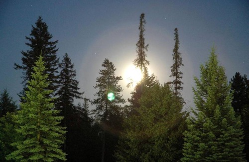 Kalispell House | House ∙ 1 bedroom ∙ 4 guests