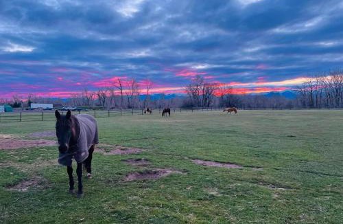 Bozeman Apartment | 2 Bedroom Loft on Horse, Goat, Donkey and Cow Farm