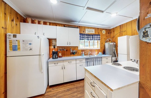 Wallowa County Cabin | Atmospheric Cabin w/Fireplace, Lovely Forest Setting & WiFi - Close to the Lake