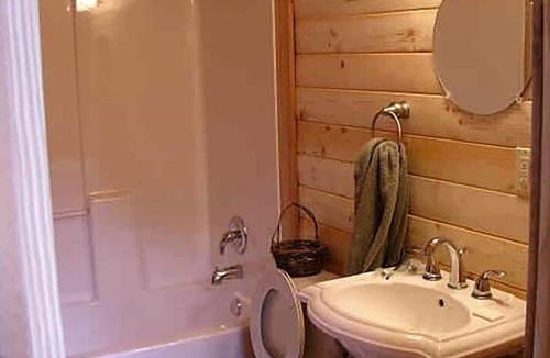 Lake City Cabin | Authentic Log Cabin Rental with Wood from the San Juan Forest near Lake City Ski Hill, Colorado