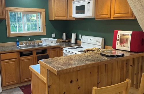 Wallowa County Cabin | Charming cabin with WiFi and AC in serene Joseph