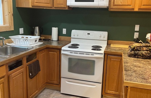 Wallowa County Cabin | Charming cabin with WiFi and AC in serene Joseph