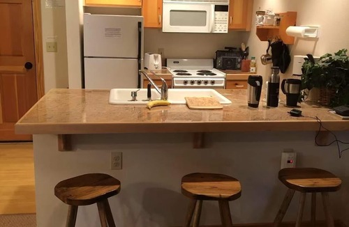 Driggs Condo | Cozy 1-bedroom condo in charming Driggs with WiFi