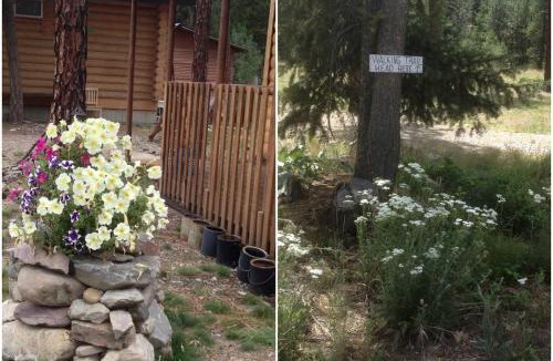 Superior House | Cozy Log Cabin Rental in a Secluded Forest in Mineral County, Montana