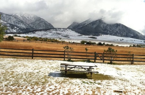 Livingston House | Deep Creek Bench · Luxury Vacation Home, views and wildlife!