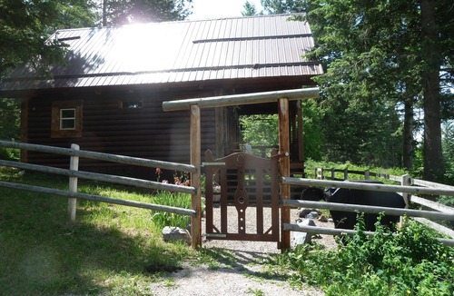 Polson Cabin | ENCHANTING CABIN IN THE WOODS