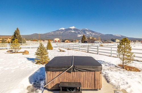 Baderville Cabin | Mountain Star Retreat w/Hot Tub and EV Charging