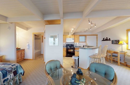 Polson Apartment | Mountain-view studio on Flathead Lake with jetted tub & swimming docks