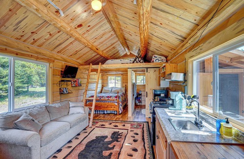 Trout Creek Apartment | Mtn Views & Fireplace: Cozy Trout Creek Tiny Home