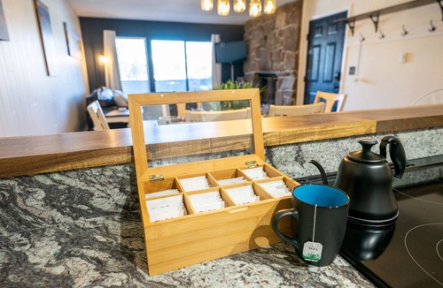 Fraser Apartment | Near Winter Park | 2 King Beds | Pets Stay Free