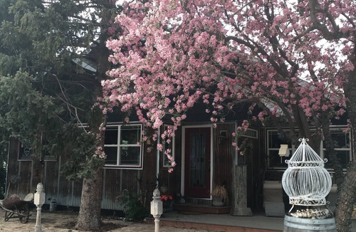 Bozeman House | Nestled between Big Sky Ski Resort & Bridger Bowl In The Heart of the Rockies