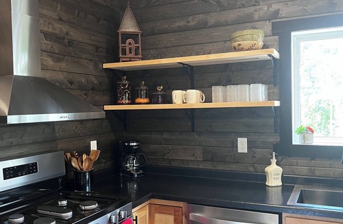 Long Lost Lake Cabin | New Lake Front Cabin 2BD 2Bath Sofa bed - hot tub-18 miles to Itasca State Park