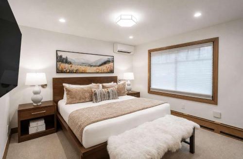 Aspen House | New Listing 3 BR 3 BA Aspen Condo near Gondola