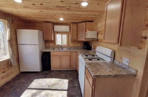 Nevis Cabin | Pet Friendly Cabin at Green Valley Resort on Seventh Crow Wing Lake