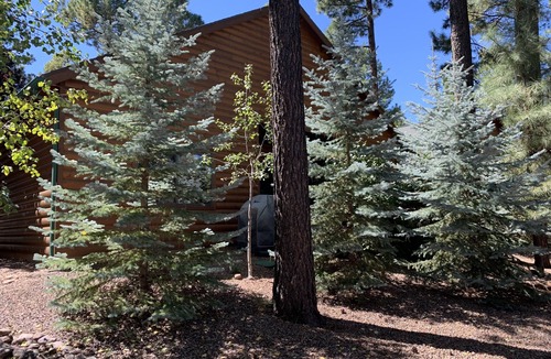 Pinetop Cabin | Pinetop Lakes CClub, One Level, AC, Private, Gated, Close To Amenities!
