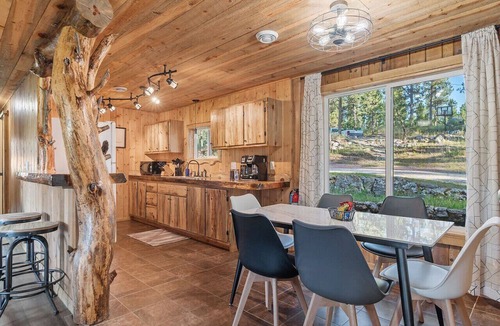 Custer Apartment | Pondside Lodge: Hottub + Sauna + Firepit + Game Room