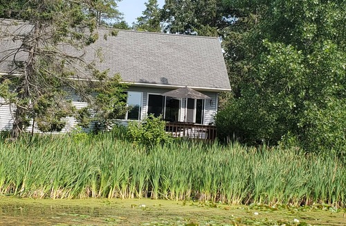Pillager Cabin | Private cabin with resort amenities; kayak, paddleboard, pontoon, great swimming