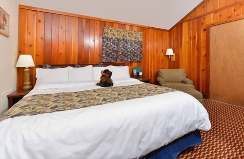 Cody House | Relax & Unwind! On-site Pool and Restaurant, Close to Shoshone National Forest!