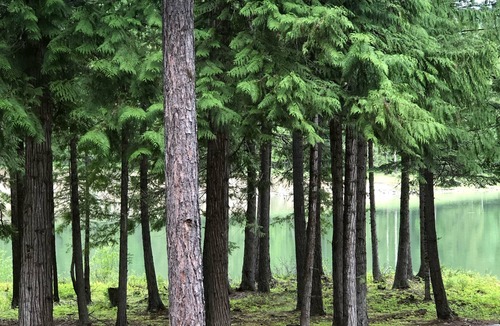 Heron House | Secluded 2bdrm home on low bank river.