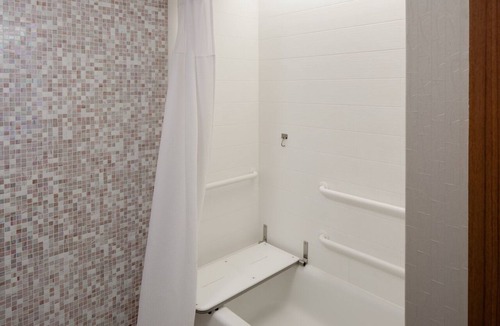 Romulus Hotel | SpringHill Suites by Marriott Detroit Metro Airport Romulus