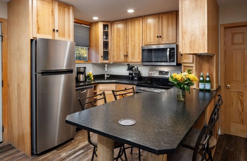 Snowmass Village Condo | Tamarack - Steps to the Slopes + ASE Transportation