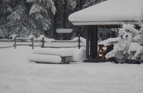 Trout Creek Cabin | "The Old Homestead" An Original Homestead Cabin