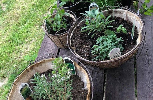 Eureka RV Rental | Tipi campsite 6 Caribou Trail Wagon Camp