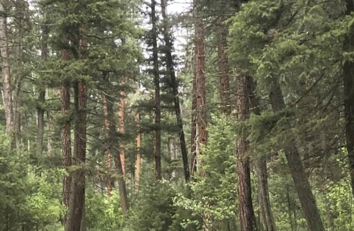 Huson House | Unique Montana Adventure