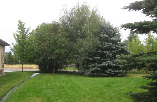 Red Lodge Condo | Unit #2 Cozy 2 Bed/2 Bath Condo on Golf Course with Hot tub/Sauna/Pool