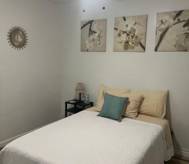 North Park Central House | West Mitchell