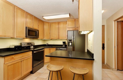 Snowmass Village Condo | Your Snowmass Getaway! Condo w/Hot Tub, Patio & Grill, Wood FP, Covered Parking, Next to Village