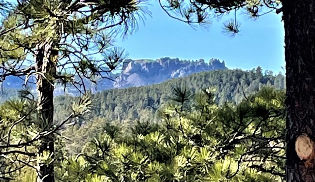 15 min to Mount Rushmore, Black Hills.