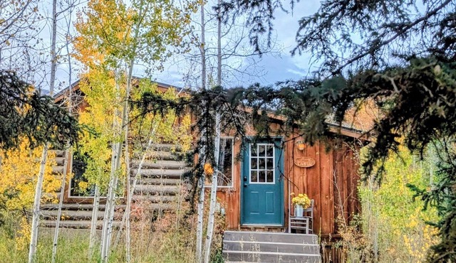 Cozy Cabin on 80 Acres Near Needle Rock