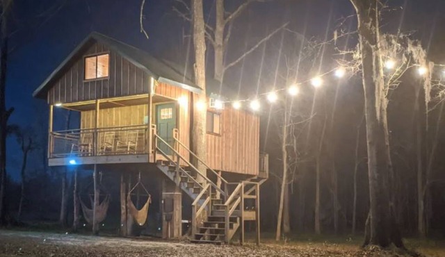Enchanted Perch Tree House