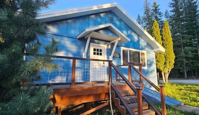 Lil Blue Dog Haven II