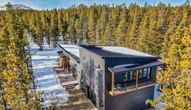 Luxury Modern Mountain Living in Fairplay 30 min from Breckenridge