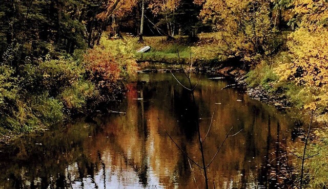 Private Riverfront Retreat Near Lake of the Woods. Sleeps 10+
