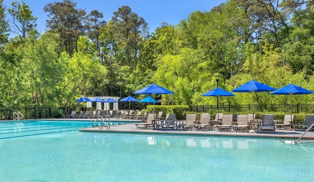 Quiet 1BR Suite w/Kitchen: 6 Miles to Scarborough Faire Shopping Village