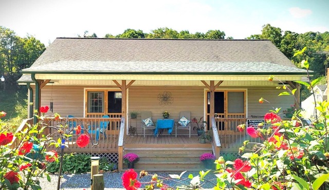 Relax in Shelley's Glen Guesthouse, a peaceful retreat, only 2 miles from town.