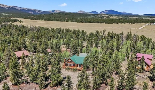 Spacious & Cozy Mountain House in Fairplay